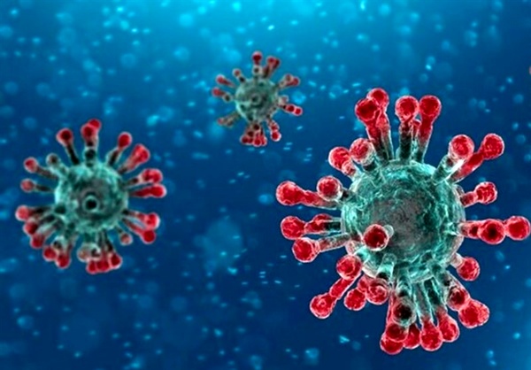 بی تفاوتی برخیها به طرح مدیریت هوشمند کرونا در قزوین بی تفاوتی برخیها به طرح مدیریت هوشمند کرونا در قزوین