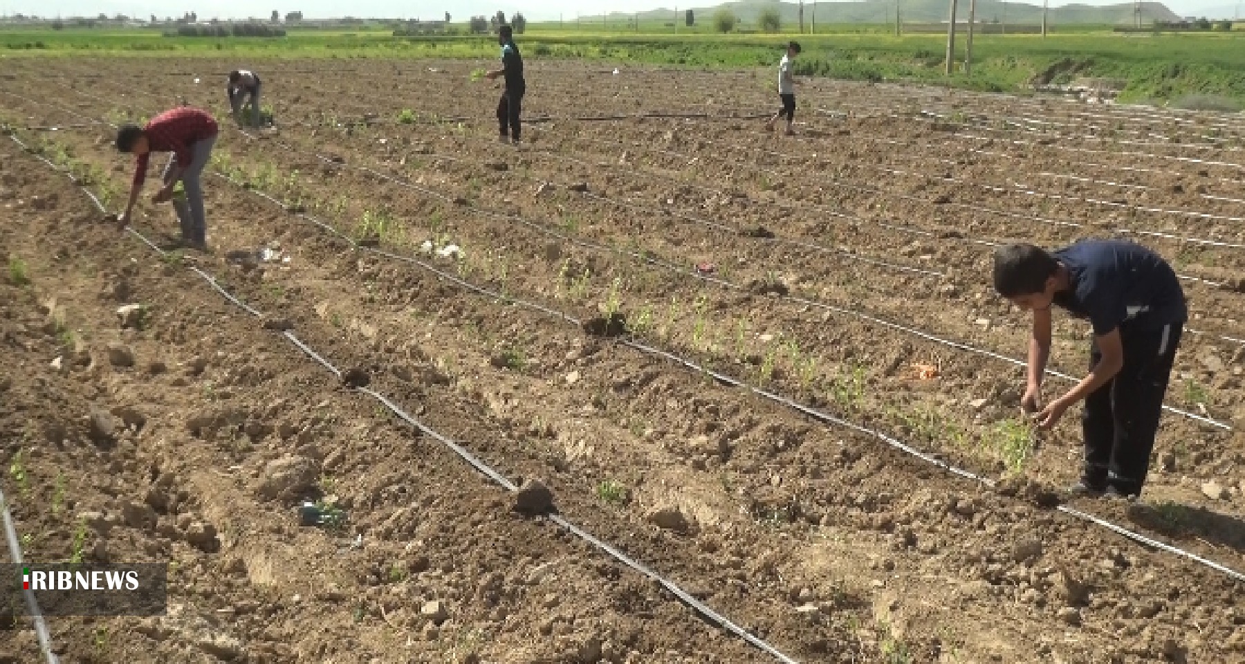 تکمیل طرح احیای دریاچه ارومیه باتصویب ۵ هزارمیلیارد ریال