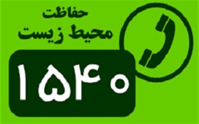 دانه پاشی و علوفه دهی برای حیات وحش