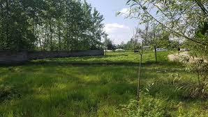 صدور ۵۲ مجوز تغییر کاربری در اراضی کشاورزی تنکابن