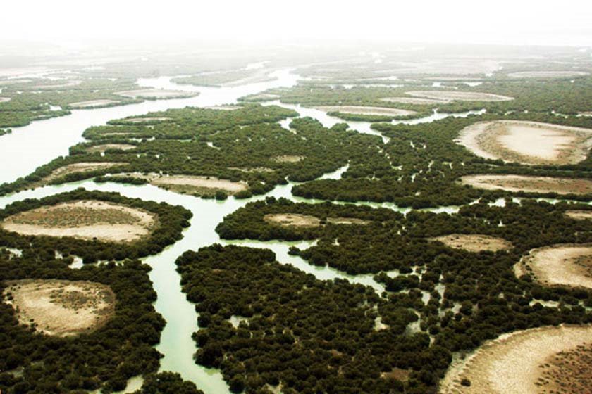 اماکن دیدنی جزيره قشم در زمستان