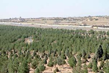 ضرورت تکمیل کمربند سبز  اهواز ضرورت تکمیل کمربند سبز  اهواز