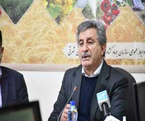 کشت برنج در سال آینده قراردادی میشود کشت برنج در سال آینده قراردادی میشود