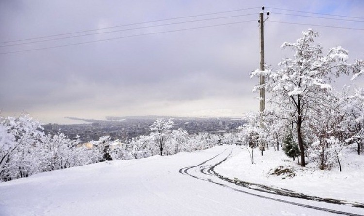 هواشناسی صبح