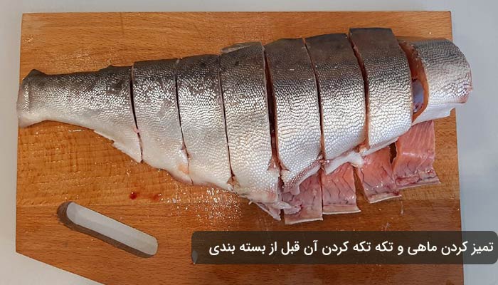 روش‌های نگهداری گوشت ماهی در منزل