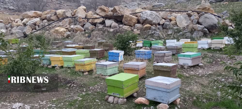 پرداخت۶۶۰ میلیارد ریال تسهیلات اشتغال روستایی و عشایری