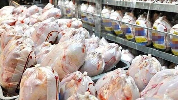 بازار آشفته مرغ در فارس