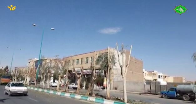 هرس درختان هرس درختان