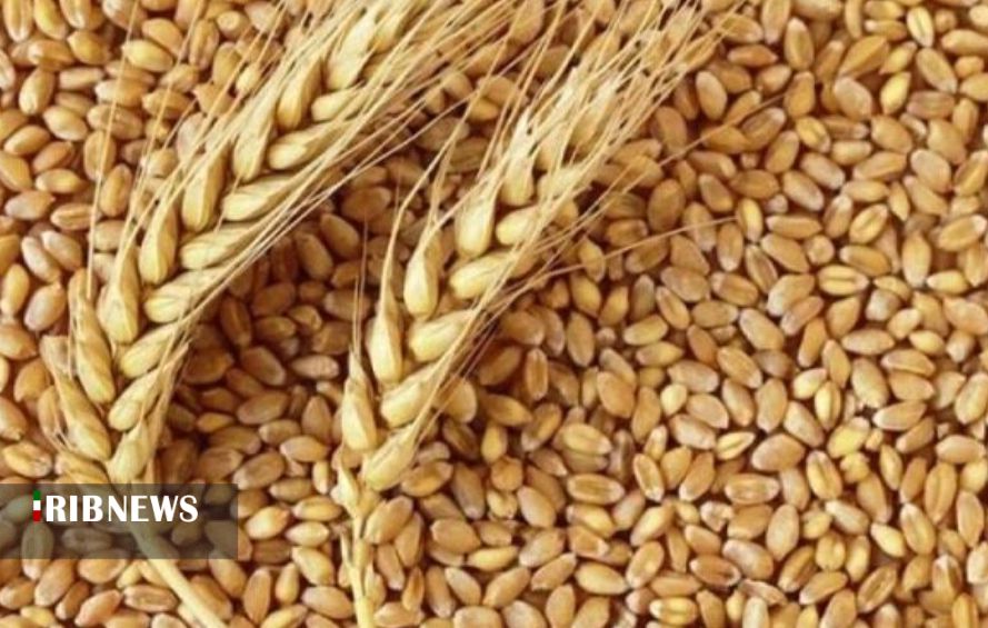 دستاوردهای مهم کشاورزی آذربایجانغربی درسالهای پس از انقلاب دستاوردهای مهم کشاورزی آذربایجانغربی درسالهای پس از انقلاب