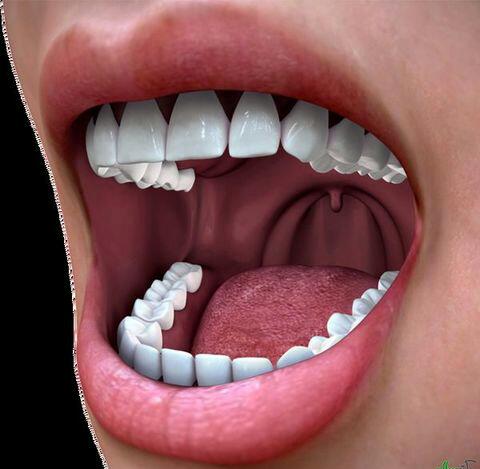 از رویا تا واقعیت