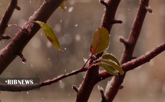 آغاز بارش‌های پراکنده از امشب