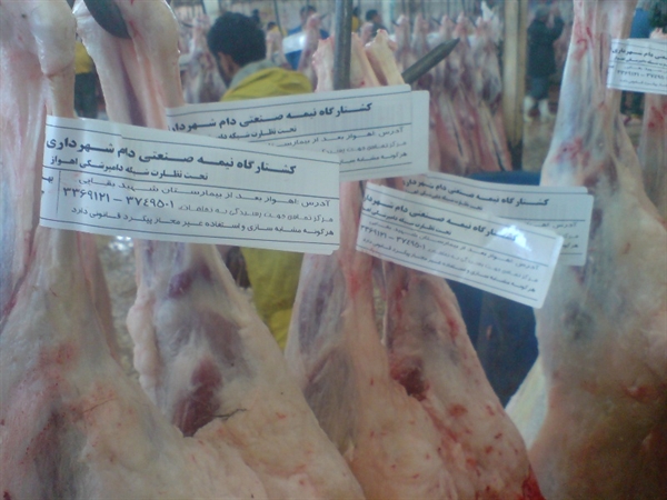 بررسی روند فعالیت کشتارگاه شهرداری اهواز بررسی روند فعالیت کشتارگاه شهرداری اهواز