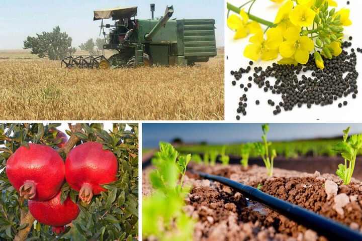 متوسط قیمت تولیدکننده محصولات و هزینه خدمات کشاورزی متوسط قیمت تولیدکننده محصولات و هزینه خدمات کشاورزی