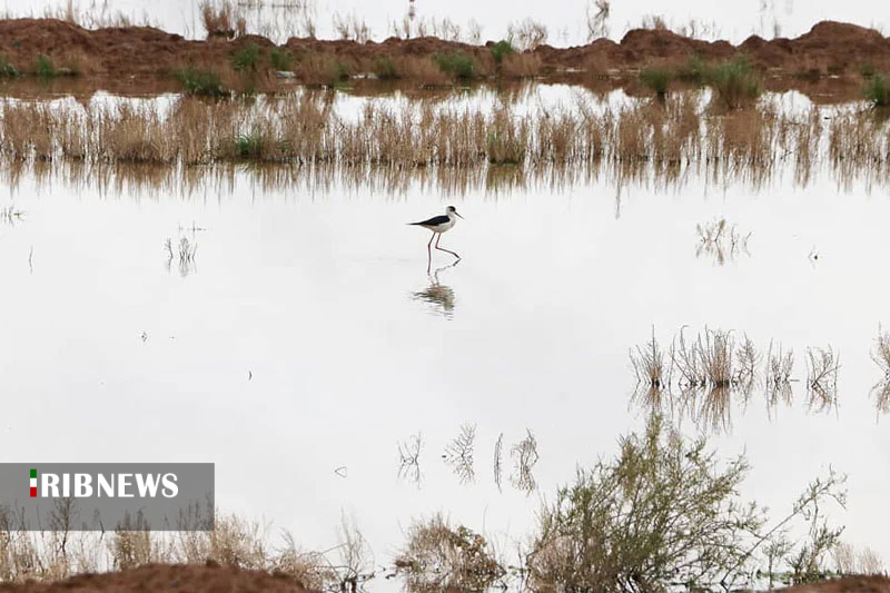 مکان های دیدنی ورامین کجاست؟ مکان های دیدنی ورامین کجاست؟