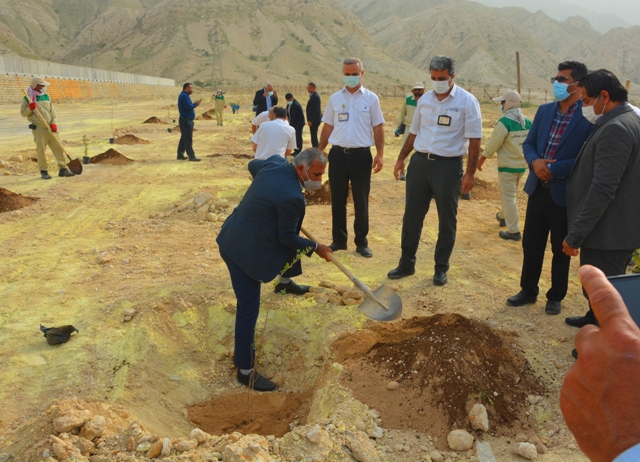 پاک سازی انبار الحاقی گوگرد و درخت کاری