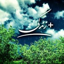 آغاز طرح خدمات رایگان بهزیستی البرز به مناسبت ولادت حضرت علی اکبر(ع)