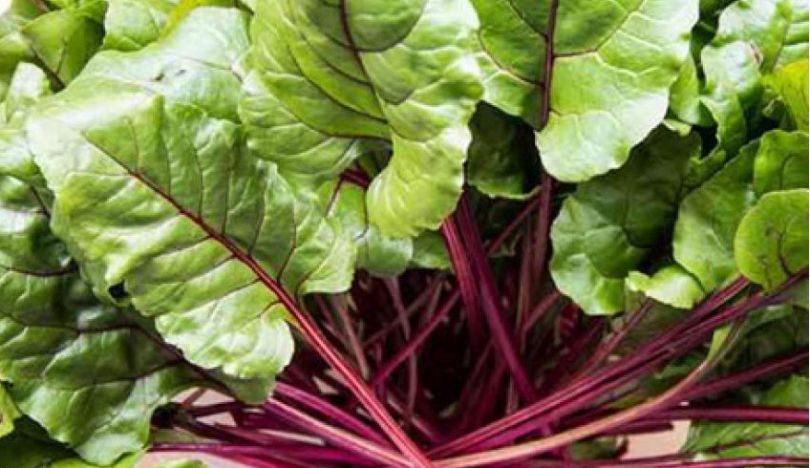 کاهش وزن در ۲ هفته با چند غذای سالم کاهش وزن در ۲ هفته با چند غذای سالم