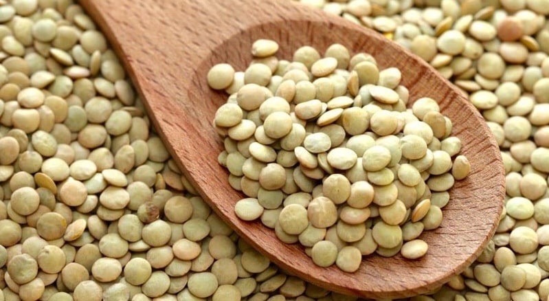 کاهش وزن در ۲ هفته با چند غذای سالم کاهش وزن در ۲ هفته با چند غذای سالم