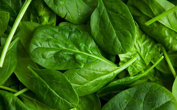 کاهش وزن در ۲ هفته با چند غذای سالم کاهش وزن در ۲ هفته با چند غذای سالم