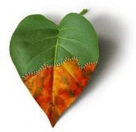 از کودکان زاگرس تا آمایش سرزمین از کودکان زاگرس تا آمایش سرزمین