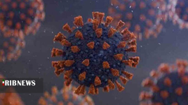 افزایش فوتیهای کرونایی در لرستان به ۱۳۷۲ نفر افزایش فوتیهای کرونایی در لرستان به ۱۳۷۲ نفر