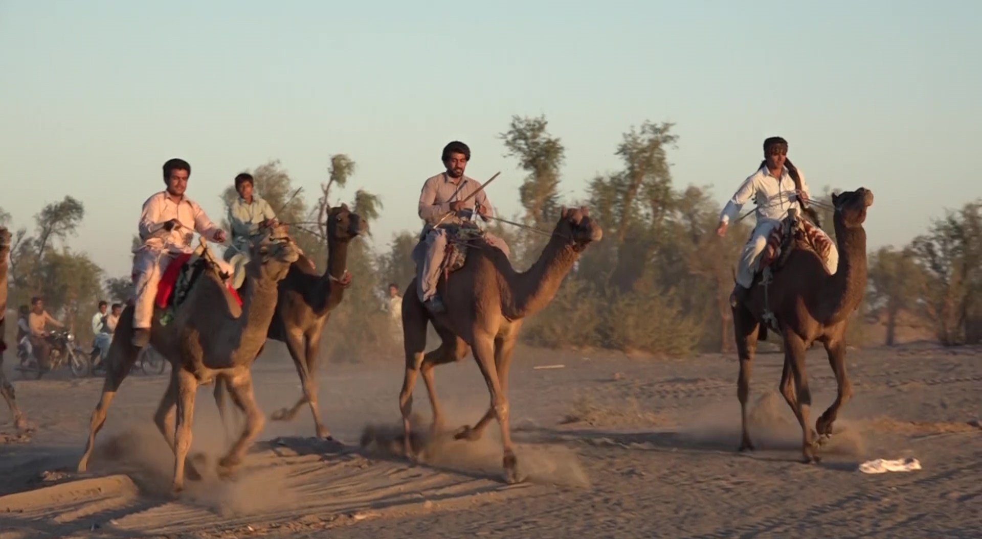 برگزاری جشنواره شترسواری در سیریک