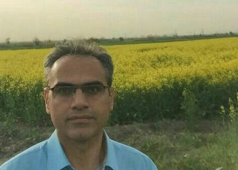 توصیه به کلزا کاران برای استفاده از گرده افشانی زنبور عسل توصیه به کلزا کاران برای استفاده از گرده افشانی زنبور عسل