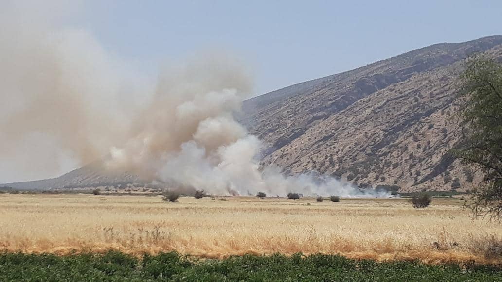 مزارع کوهچنار طعمه حریق شد مزارع کوهچنار طعمه حریق شد