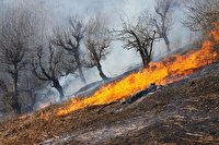 عامل ۹۳ درصد آتش سوزیها در کشور انسانی است عامل ۹۳ درصد آتش سوزیها در کشور انسانی است