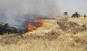 سوزاندن بقایای گیاهی خیانت در امانت نسل های آینده سوزاندن بقایای گیاهی خیانت در امانت نسل های آینده