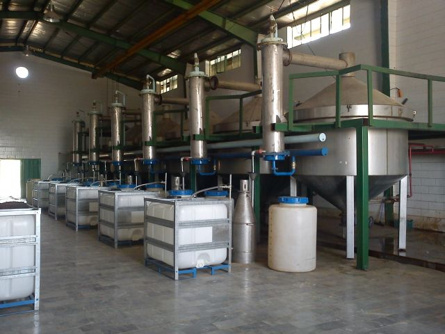 راه اندازی اولین کارگاه نیمه صنعتی گلابگیری در تایباد