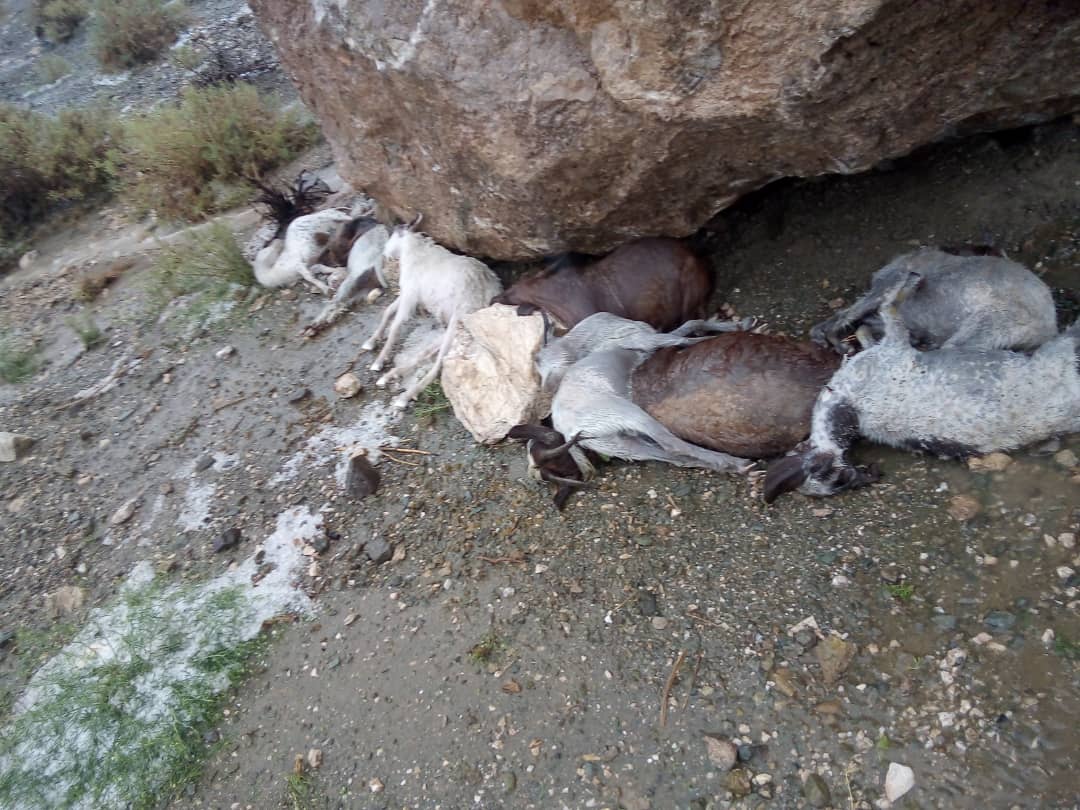 خسارت 4 میلیارد تومانی بارندگی در هرمزگان خسارت 4 میلیارد تومانی بارندگی در هرمزگان