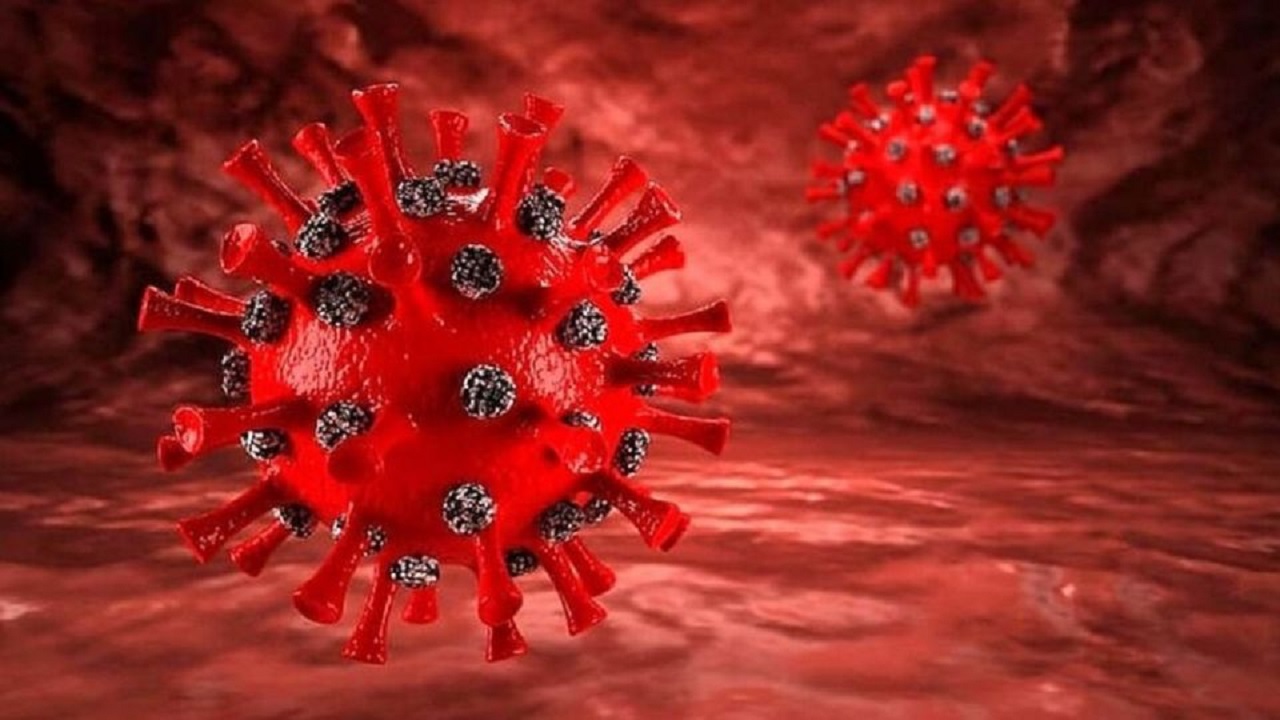 خطر کرونای آفریقایی جدی است