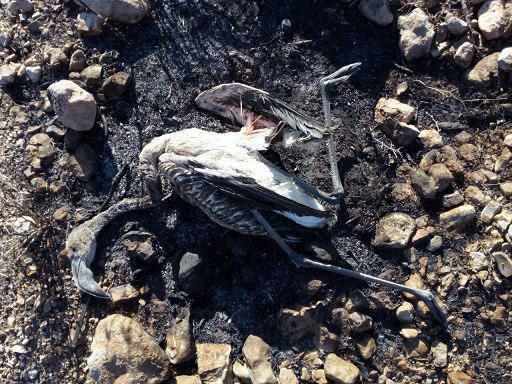 آی آدمها که روی ساحل آرام، در کار تماشائید! آی آدمها که روی ساحل آرام، در کار تماشائید!