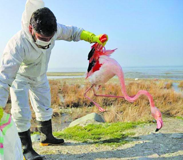 آی آدمها که روی ساحل آرام، در کار تماشائید! آی آدمها که روی ساحل آرام، در کار تماشائید!