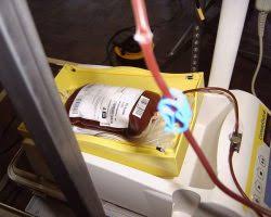 اهدای ۳۸۰ واحد خون در شب‌های قدر