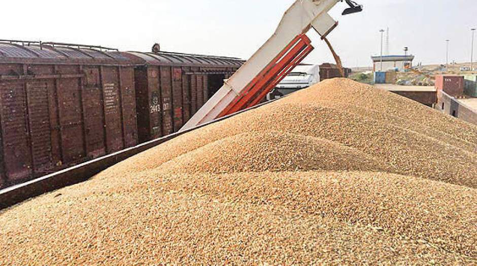 حمیدیه دارای جایگاه دوم خرید گندم در خوزستان حمیدیه دارای جایگاه دوم خرید گندم در خوزستان