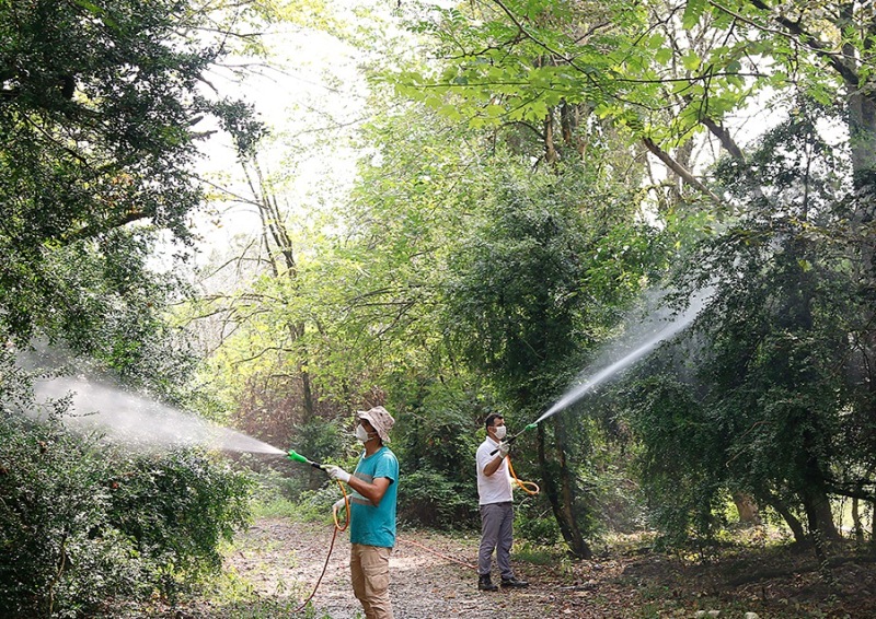 آلودگی بیش از ۵ هزار هکتار از عرصههای طبیعی غرب مازندران