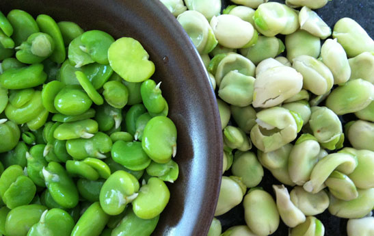 باقلا سبز گیاهی بهاری؛ چه کسانی نباید باقلا بخورند؟