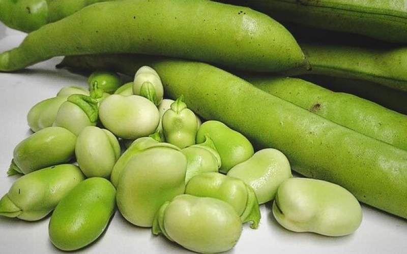 باقلا سبز گیاهی بهاری؛ چه کسانی نباید باقلا بخورند؟