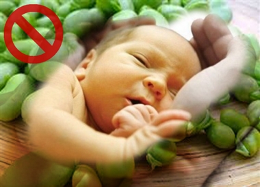 باقلا سبز گیاهی بهاری؛ چه کسانی نباید باقلا بخورند؟