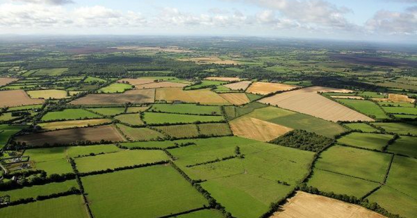 ثبت اطلاعات ۴۸ هزار هکتار از اراضی کشاورزی قزوین در سامانه سیاک