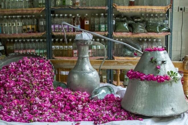 سایه سنگین کرونا بر گردشگری پایتخت گل و گلاب