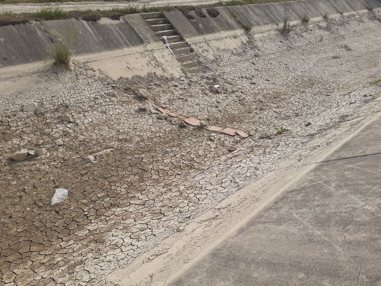 همه چیز با سربریدن پنبه شروع شد/ دشت شرق خزر در عطش آب می‌سوزد