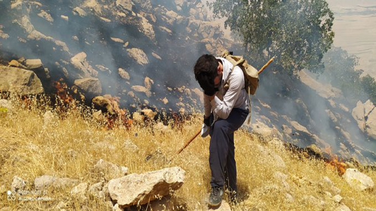 دوستداران طبیعت امیدیه را دریابیم