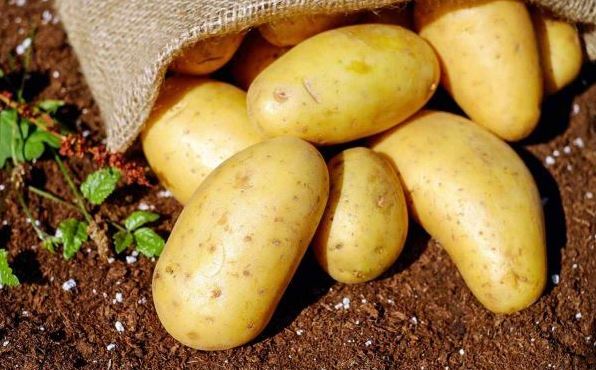 صبحانه بهاری با سوپ گیاهی