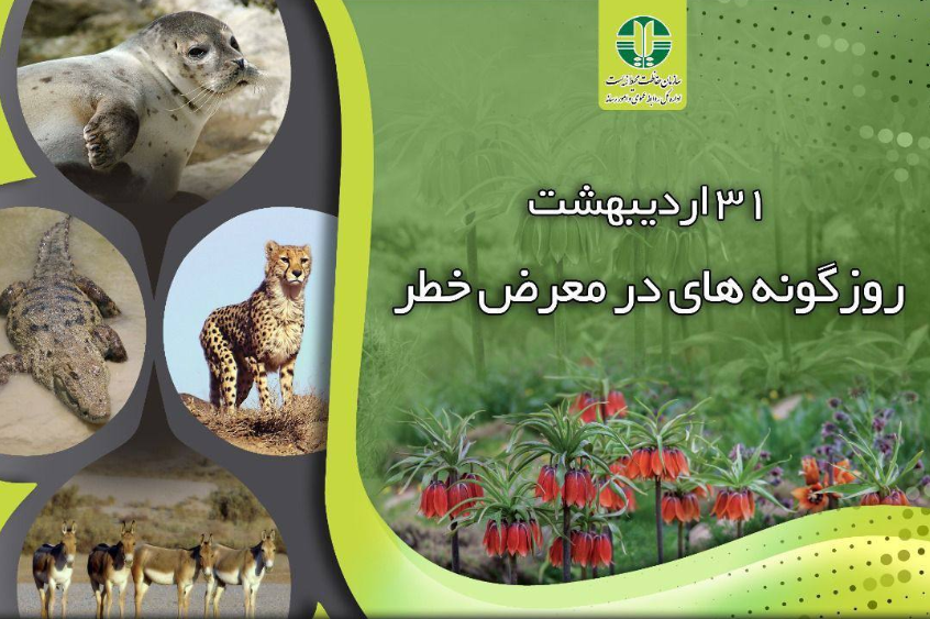 نجات گونه های در معرض انقراض ، چرا و چگونه ؟ نجات گونه های در معرض انقراض ، چرا و چگونه ؟