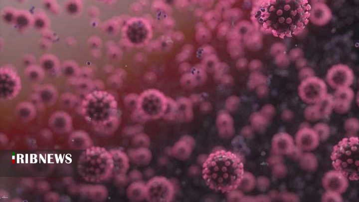 جان باختن 9 بیمار کرونایی دیگر در کردستان