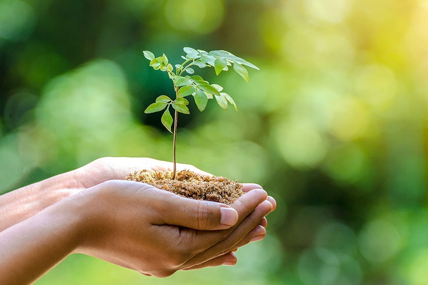 صدور گواهی مدیریت سبز در ساری