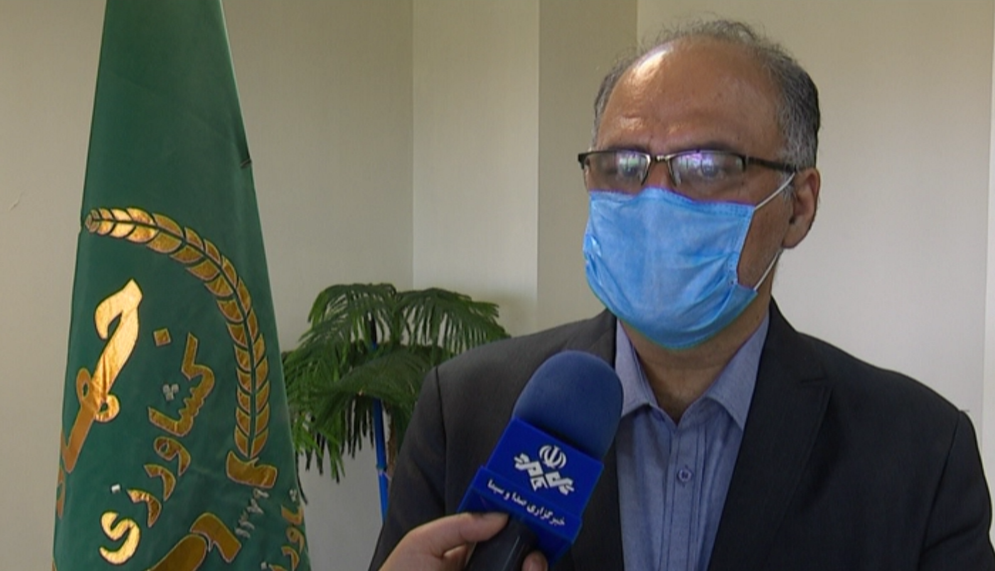 برداشت بیش از ۲۰ هزار تن گندم از مزارع بوشهر برداشت بیش از ۲۰ هزار تن گندم از مزارع بوشهر